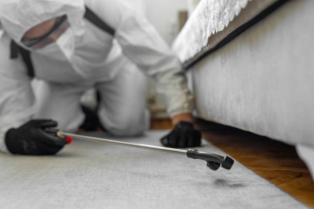 Professional Bed Bug Control technician working in Oneida County County, ID